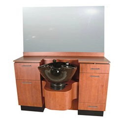 Collins QSE 4422-60-4 Neo Michigan Wet Booth Unit w/T100 Bowl