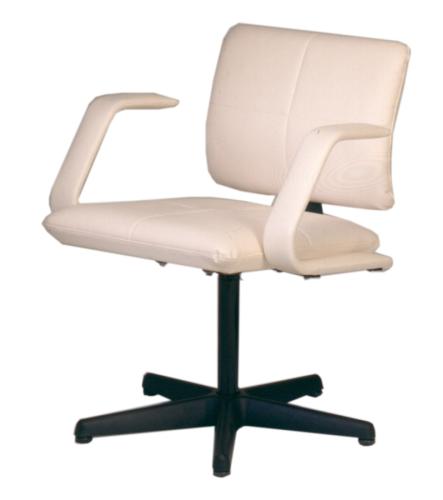 Salon chair online discount shopping